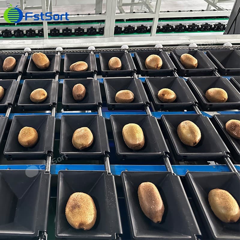 images/1766972187005Zhengzhou-First-Industry-Co-Ltd- (2).jpg